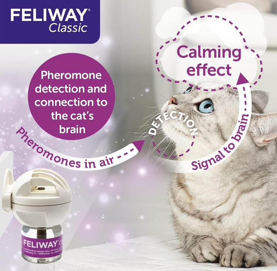 FELIWAY Classic 30 day starter kit - Diffuser and Refill