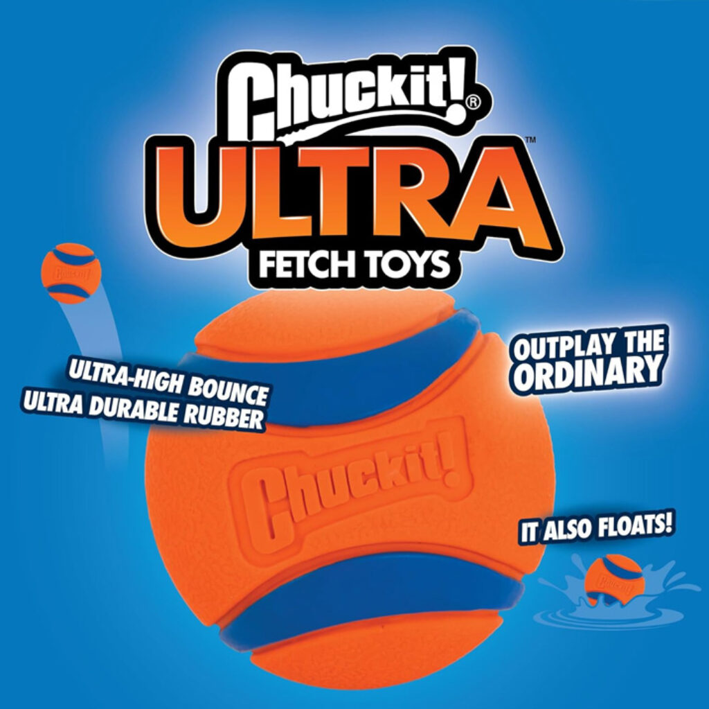 ChuckIt! Ultra Ball Dog Toy - rubber dog ball