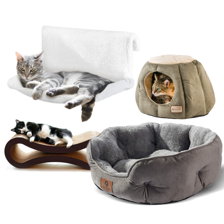 Elevate Your Cat’s Lounging Game With The Best Cat Beds and Cat Hammocks