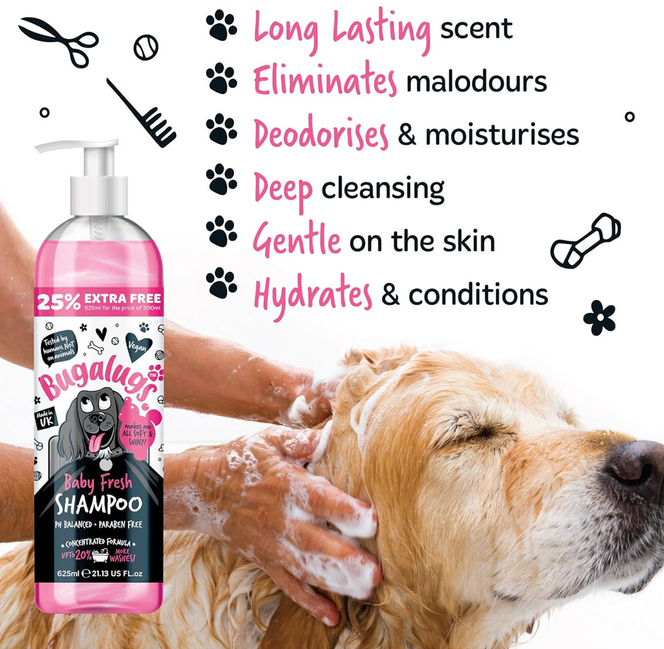 Photo of a pink‑label bottle of Bugalugs Baby Fresh dog shampoo next to a golden‑coloured dog being lathered with soap during a bath. The shampoo label shows a cartoon dog and text, and the image includes overlay text highlighting features like long lasting scent, deodorises and moisturises, deep cleansing, and gentle on the skin.