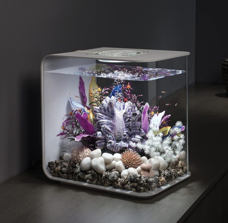 biOrb Flow 30L LED Aquarium – Tiny Tank, Big Ambition