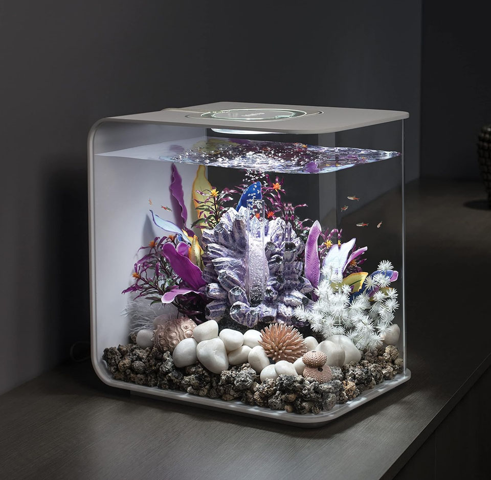 Compact biOrb FLOW 30 LED aquarium with clear acrylic sides, a sleek top, and decorative stones and colourful artificial plants inside, sitting on a dark surface with small fish swimming near the surface.