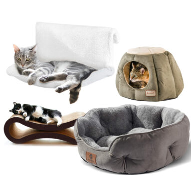 Elevate Your Cat’s Lounging Game With The Best Cat Beds and Cat Hammocks